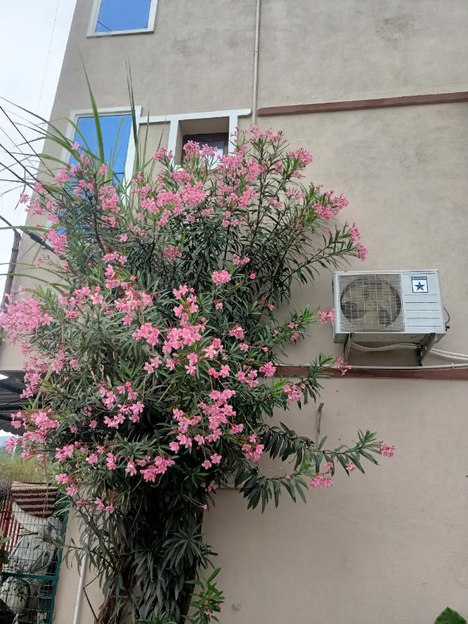 Advik Homestays Tirupati Exterior photo